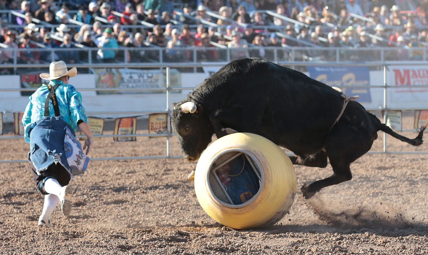 2018 La Fiesta de los Vaqueros Tucson Rodeo